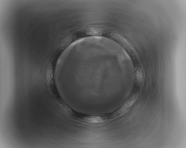 X0000101450322200807280944