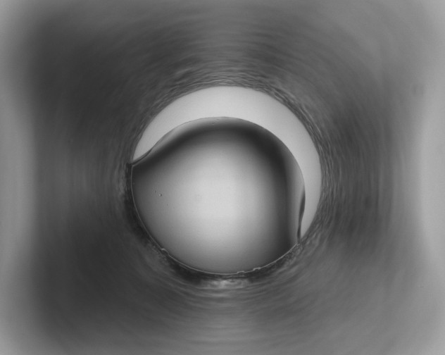 X0000101450323200807280944