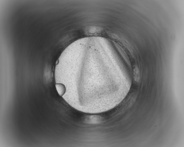 X0000101450324200807280944