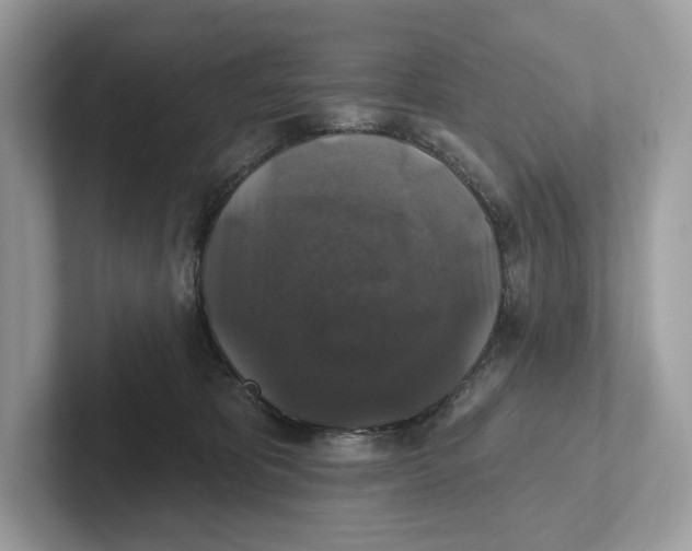 X0000101450325200807280944