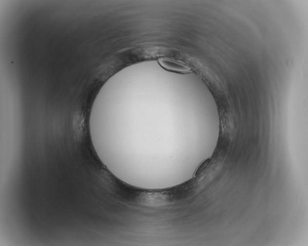 X0000101450327200807280944