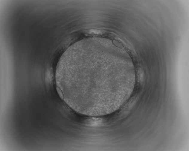 X0000101450328200807280944