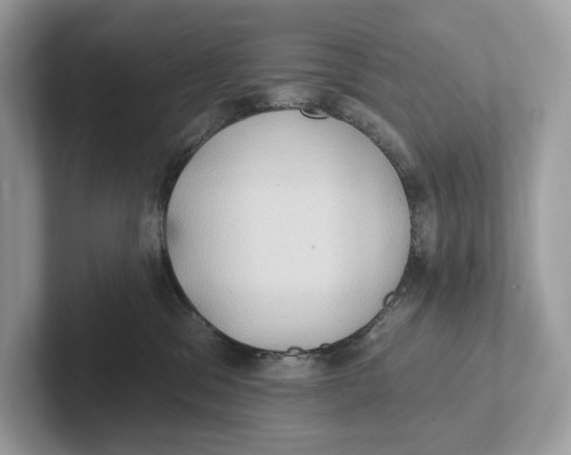 X0000101450329200807280944