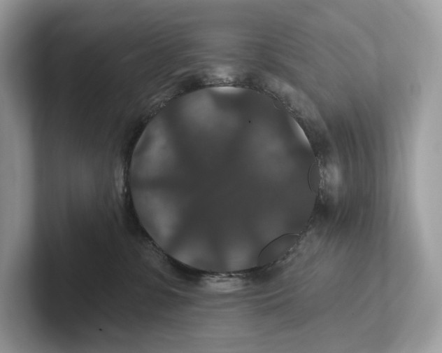 X0000101450331200807280944