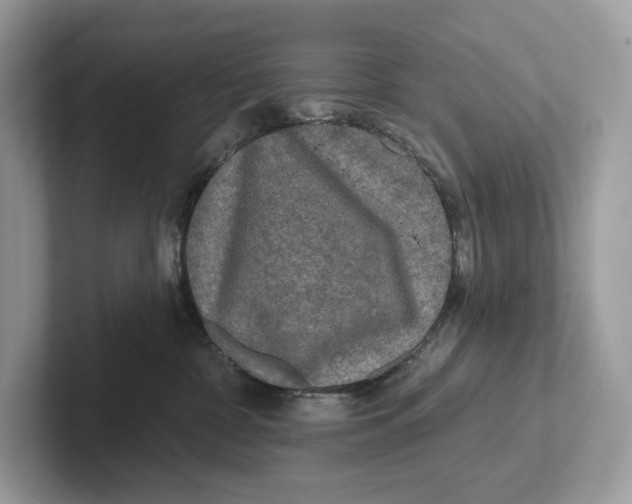 X0000101450332200807280944