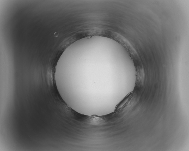 X0000101450333200807280944