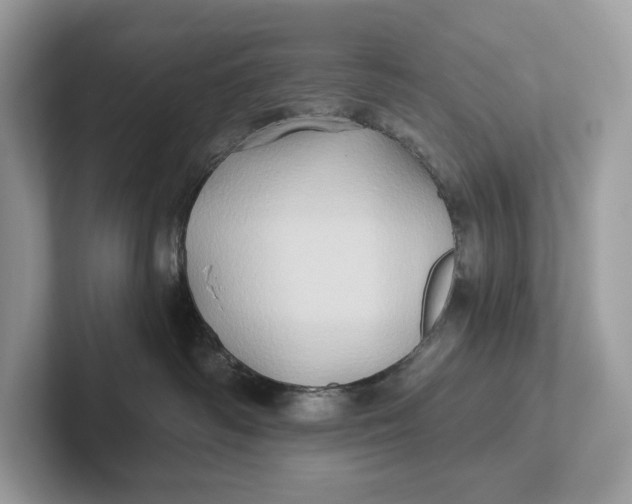 X0000101450334200807280944