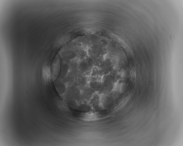 X0000101450335200807280944