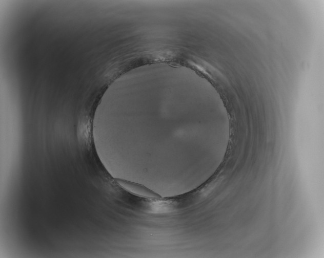 X0000101450336200807280944