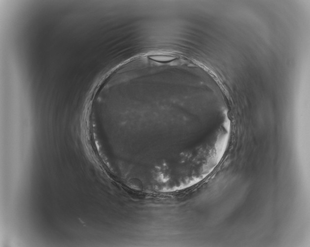 X0000101450337200807280944