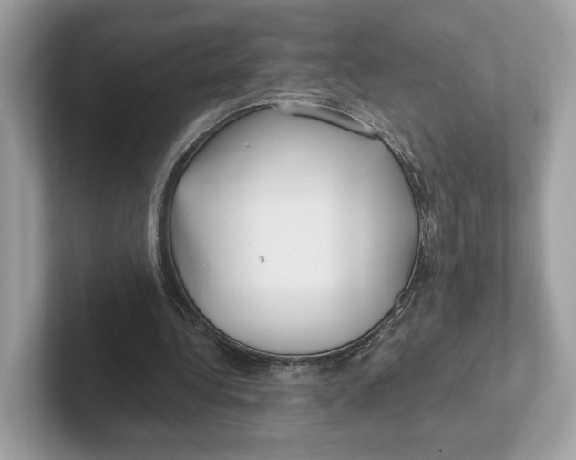 X0000101450340200807280944