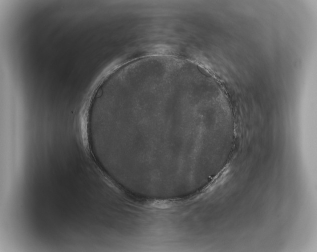 X0000101450341200807280944