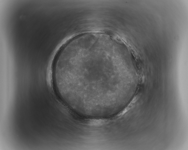 X0000101450342200807280944