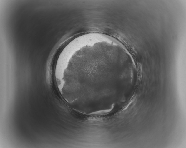 X0000101450343200807280944