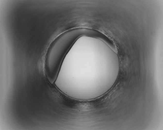 X0000101450344200807280944