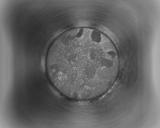 X0000101450345200807280944