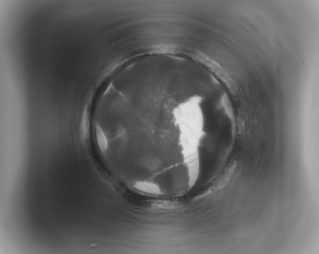 X0000101450347200807280944