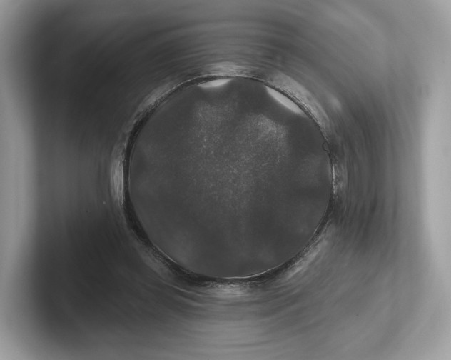 X0000101450349200807280944