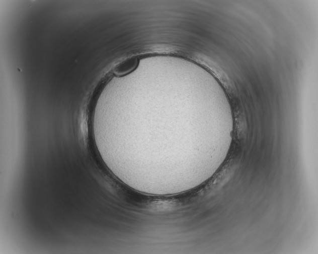 X0000101450350200807280944