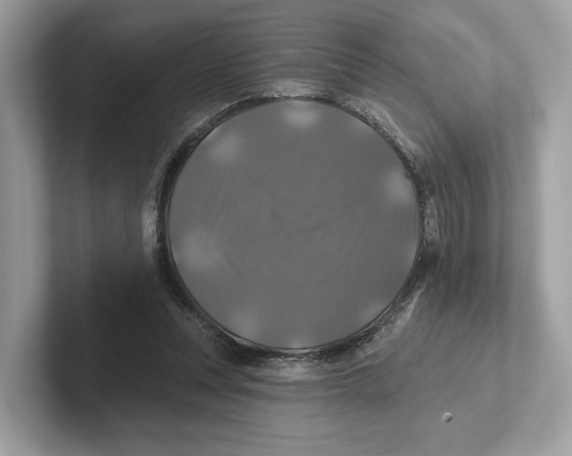 X0000101450351200807280944