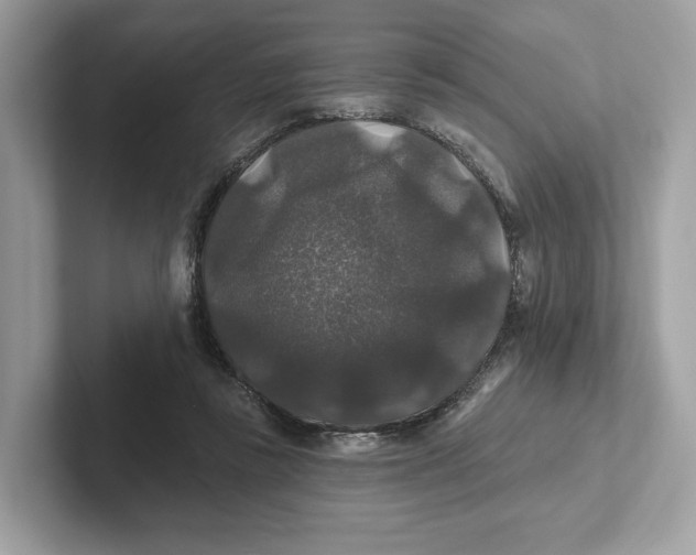 X0000101450355200807280944