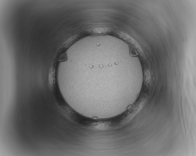 X0000101450356200807280944