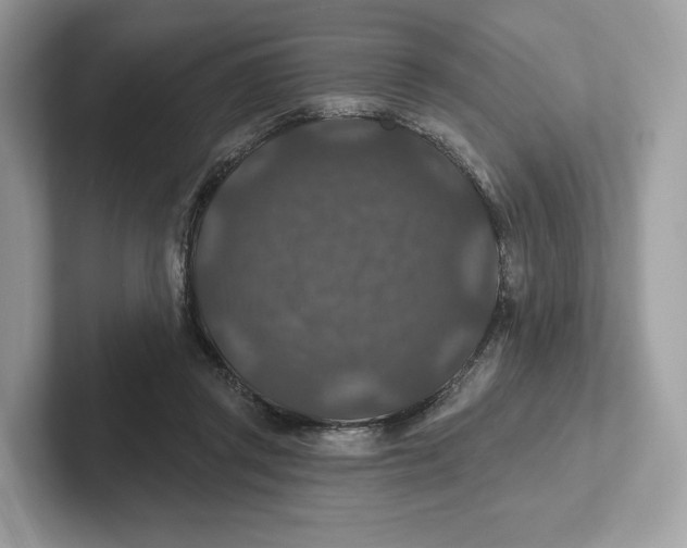 X0000101450357200807280944