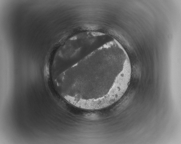 X0000101450358200807280944