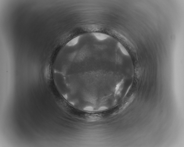 X0000101450359200807280944