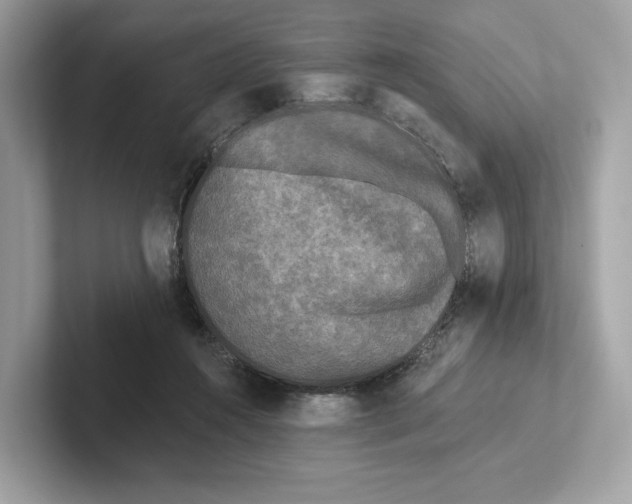 X0000101450360200807280944