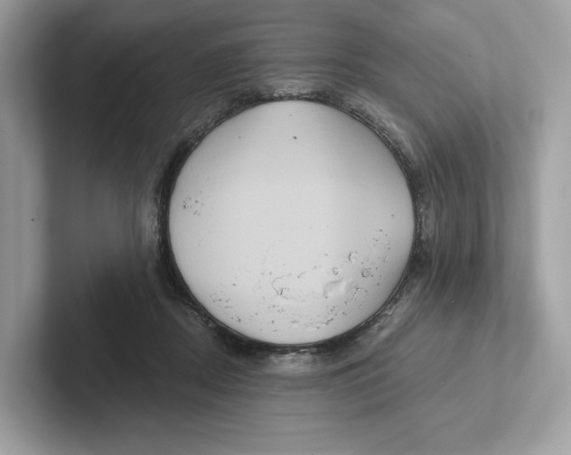 X0000101450362200807280944