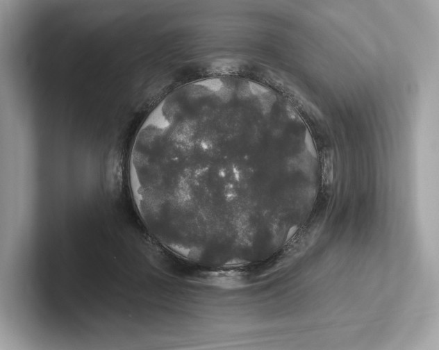 X0000101450363200807280944