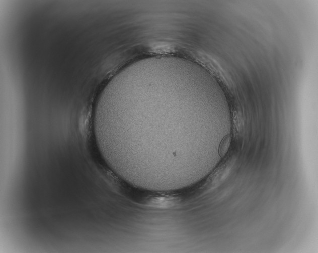 X0000101450364200807280944