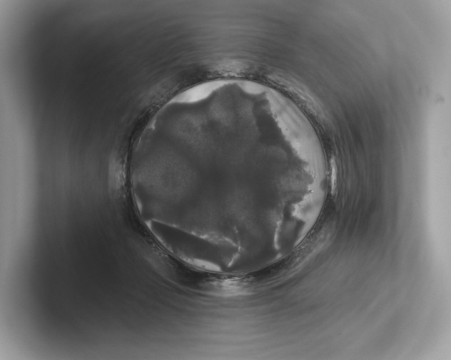 X0000101450365200807280944