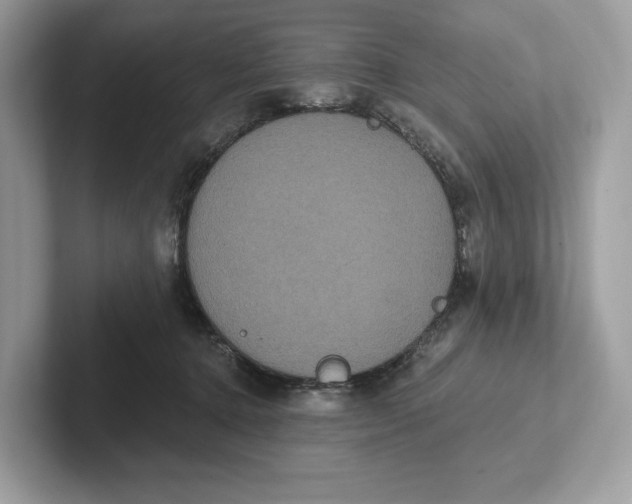 X0000101450368200807280944