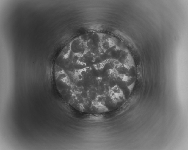 X0000101450369200807280944