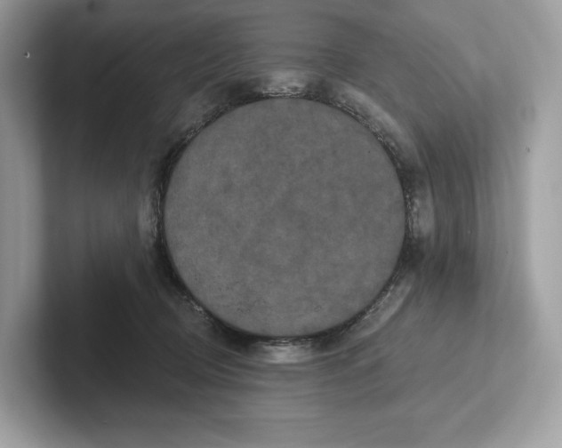 X0000101450370200807280944