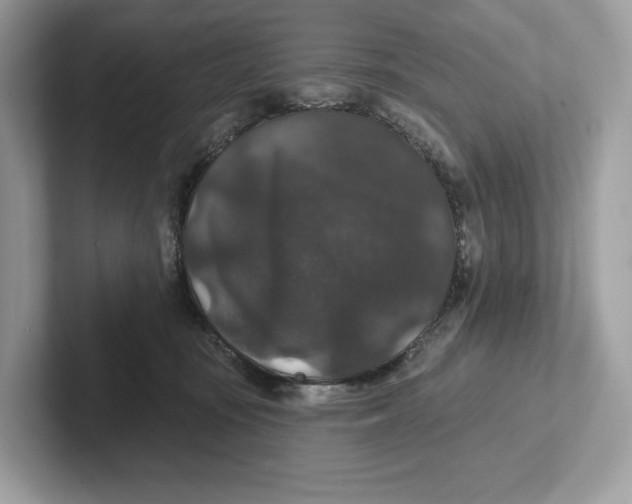 X0000101450371200807280944