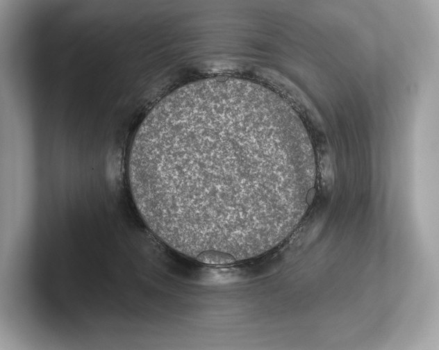 X0000101450372200807280944