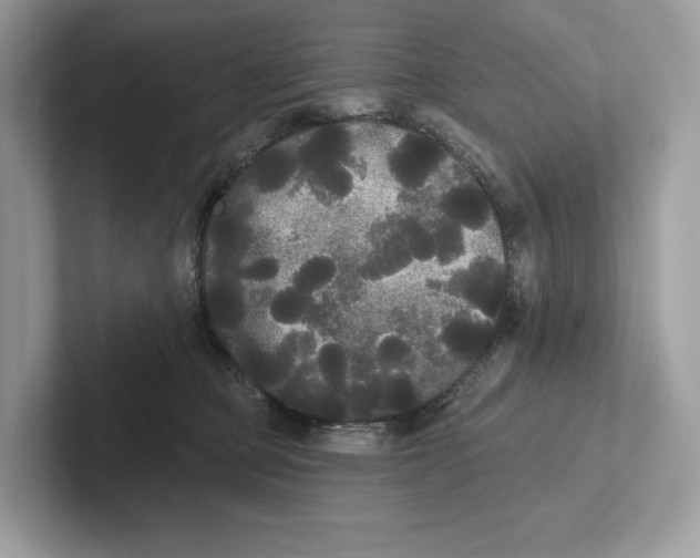 X0000101450373200807280944