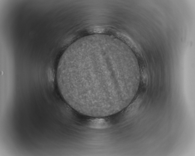 X0000101450374200807280944