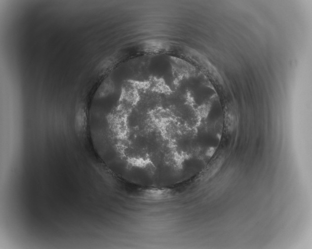 X0000101450375200807280944