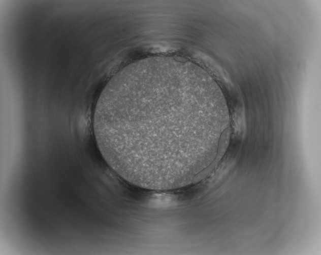 X0000101450376200807280944