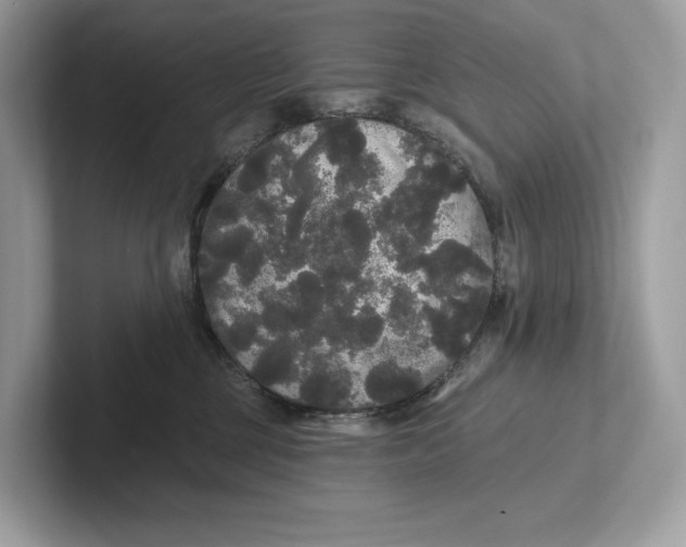 X0000101450377200807280944