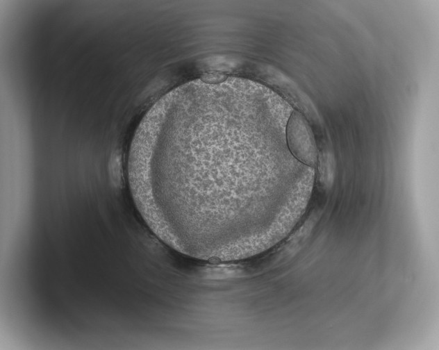 X0000101450378200807280944