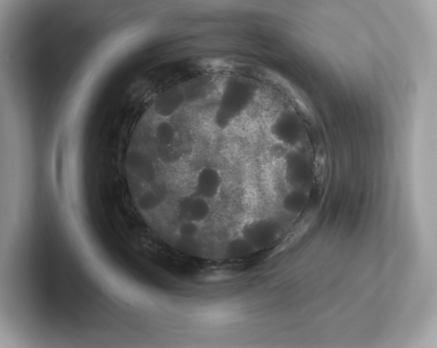 X0000101450381200807280944