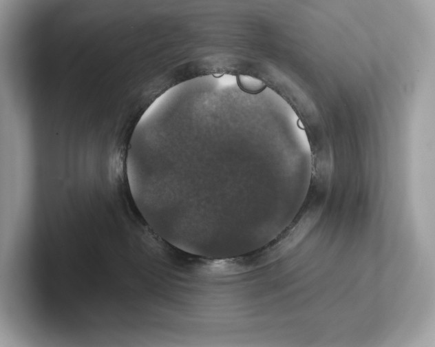 X0000101450382200807280944