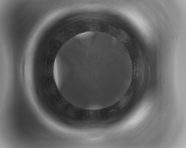 X0000101450383200807280944