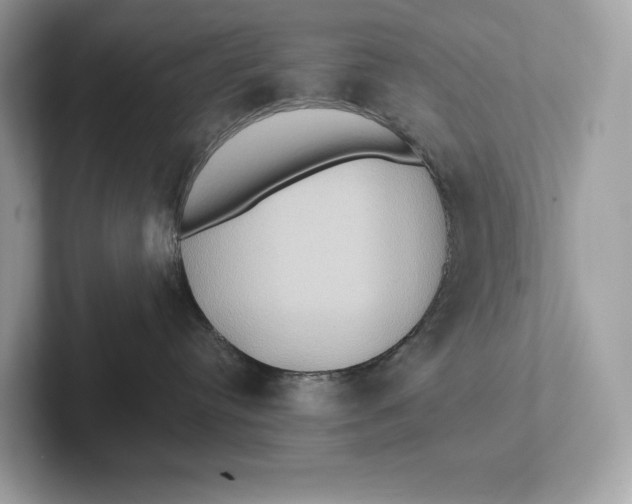 X0000101450384200807280944