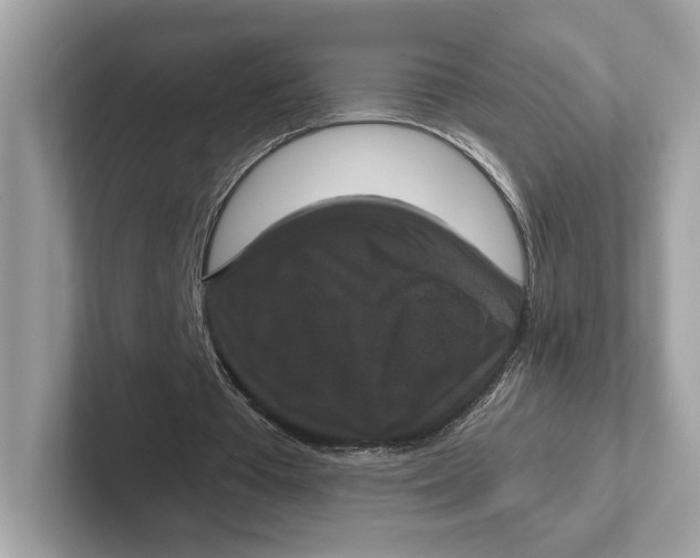 X0000101450385200807280943